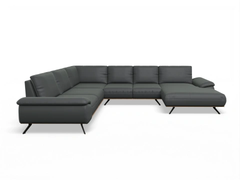 CanSE Large R
